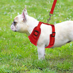 PUPTECK Small Dog Harness and Leash Set, No Pull Adjustable Puppy Cat Harness, Reflective Soft Mesh Pet Vest Small Sized, Red, S