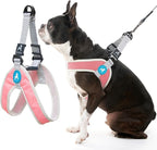 Gooby Simple Step in III Harness - Pink, Medium - Small Dog Harness with Scratch Resistant Outer Vest - Soft Inner Mesh Harness for Small, Medium Dogs