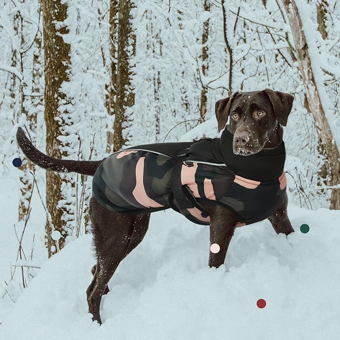 IECOii Extra Warm Dog Coat - Reflective Adjustable Jacket With Buckle Fleece Turtleneck for Cold Weather - Soft Winter Coat for Small Medium Extra Large Dogs
