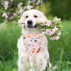 ADOGGYGO Floral Dog Bandana, Black Pink Flower Pet Scarf, Premium Durable Fabric, Cute Floral Bandanas for Extra Large Dogs (X-Large)