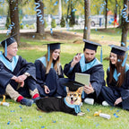 5 Pcs Dog Graduation Costume Set Include 2026 Pet Graduation Gown with Stole Puppy Grad Cap Lensless Glasses DIY Letter Stickers for Dogs Cats Holiday Costume Accessory(Black Light Blue,XL)
