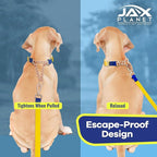 Jelly Waterproof Martingale Dog Collar, No Pull Nylon Collar with Alloy Metal Buckle & D-Ring for Outdoor Training and Walking, Anti Pull, Escape Free, One Time Adjustment- Yellow & Blue, M