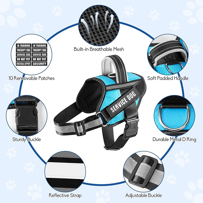 Service Dog Vest Harness and Leash Set, Animire in Training Dog Harness with 10 Dog Patches, Reflective Dog Leash with Soft Padded Handle for Dogs (Light Blue,L)