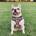 PUPTECK Soft Mesh Dog Harness and Leash Set Pet Puppy Cat Comfort Padded Vest No Pull Harnesses, Red Mixed, L