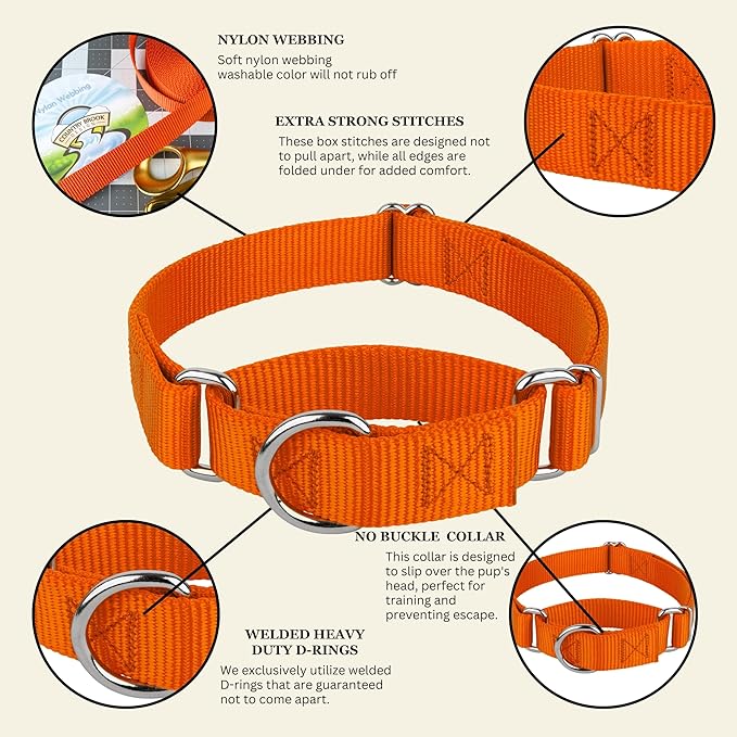 Country Brook Petz - Martingale Dog Collar - Heavy-Duty Training Collar with No Buckle - Service Dog Collar for All Pups - 10+ Warm Colors (Orange, 1 Inch, Medium)