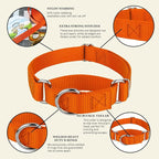 Country Brook Petz - Martingale Dog Collar - Heavy-Duty Training Collar with No Buckle - Service Dog Collar for All Pups - 10+ Warm Colors (Orange, 3/4 Inch, Small)
