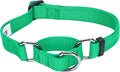 Blueberry Pet Essentials Martingale Safety Training Dog Collar, Emerald, Medium, Heavy Duty Nylon Adjustable Collars for Dogs