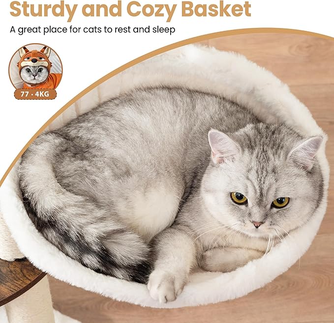 cfor Indoor Large Cats, Cat Scratching Posts with Big Perch Bed, Wooden Cat Condo with Hammock, Removable Pads, Kitty Furniture, Rustic Brown