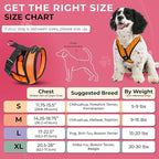 Gooby Comfort X Head in Harness - Orange, Large - No Pull Small Dog Harness, Patented Choke-Free X Frame - On The Go Dog Harness for Medium Dogs No Pull or Small Dogs for Indoor and Outdoor Use