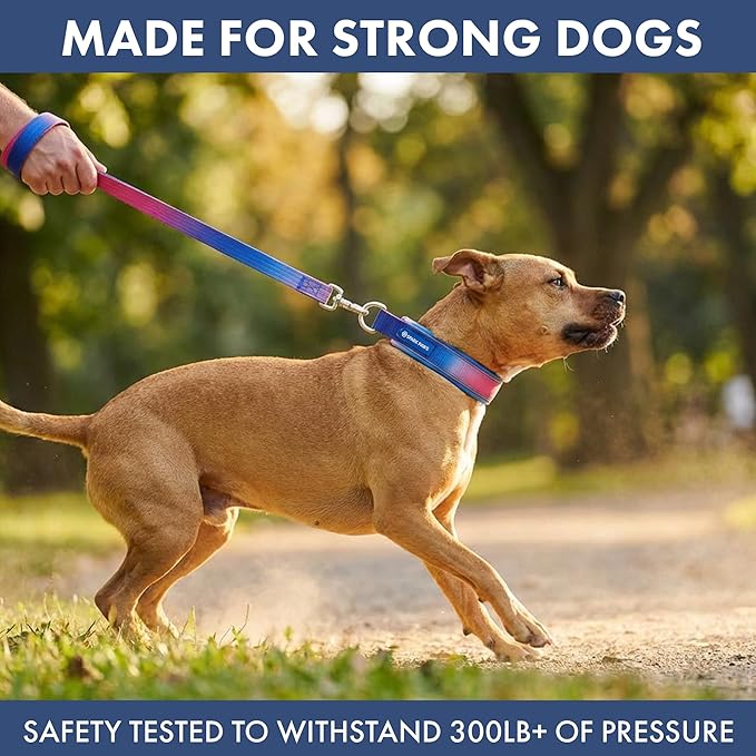 Spark Paws Martingale Dog Collar – Cushioned Slip-On Training Collar, Heavy Duty, Safety-Tested No-Buckle Collar for Medium & Large Dogs - Snow Cone - A