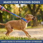 Spark Paws Martingale Dog Collar – Cushioned Slip-On Training Collar, Heavy Duty, Safety-Tested No-Buckle Collar for Medium & Large Dogs - Snow Cone - B