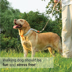 SVD.PET Dog Prong Collar for No-Pull Training, Quick-Release Buckle Adjustable Pinch Collar for Large Dogs (White, Large Size)