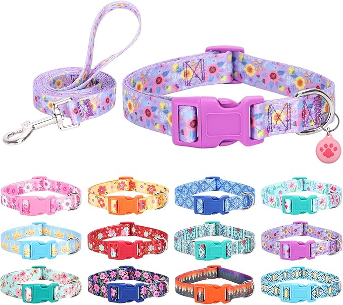 Dog Collar with Leash Airtag Holder Case Set - Dog Collars for Male Female Boy Girl Puppy X-Small Small Medium Large Dogs Walking Running Training - Purple Daisy/M