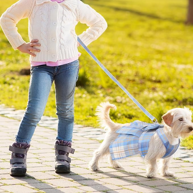 4 Pcs Cute Plaid Dog Dress Set with Bow Tie Harness & Leash for Small Dogs, Puppy Clothes for Girls Outfits(L,Light Color)