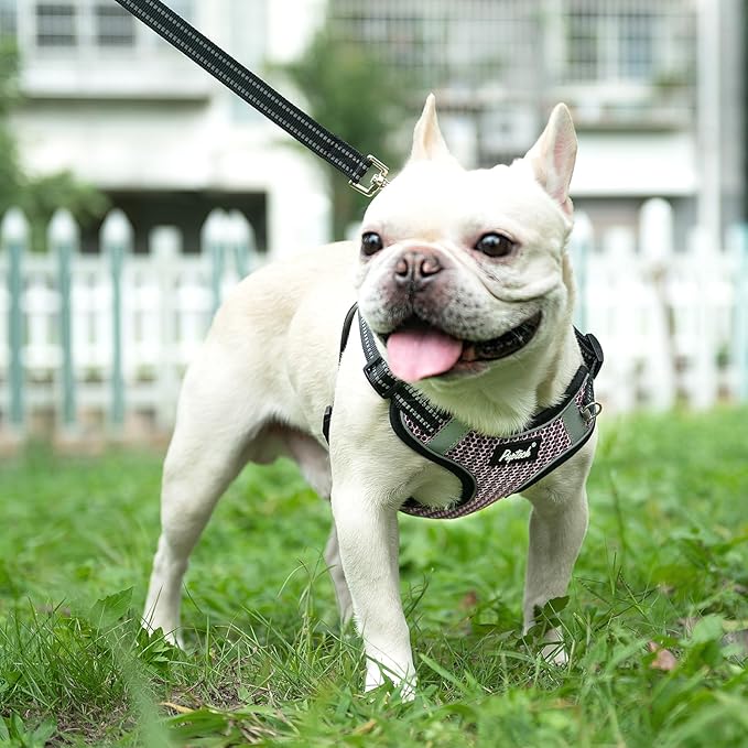 PUPTECK Dog Harness and Leash Set Small Sized, Step in No Pull Adjustable Puppy Cat Harness Reflective Pet Vest