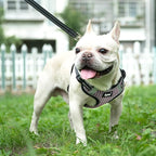 PUPTECK Dog Harness and Leash Set Medium Sized, Step in No Pull Adjustable Puppy Cat Harness Reflective Pet Vest