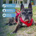 Best Pet Supplies Voyager Adjustable Step-in Flex Breathable Mesh Dog Harness for Small Medium Large Dogs Leash Set (Red), M