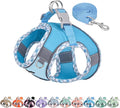 AIITLE Escape-Proof Dog Harness - Extra Soft Jacquard Fabric with Moisture-Wicking Lining, Adjustable Fit for Boston Terrier, Pekingese - Running, Playdates, Outdoor Adventures (Blue, L)