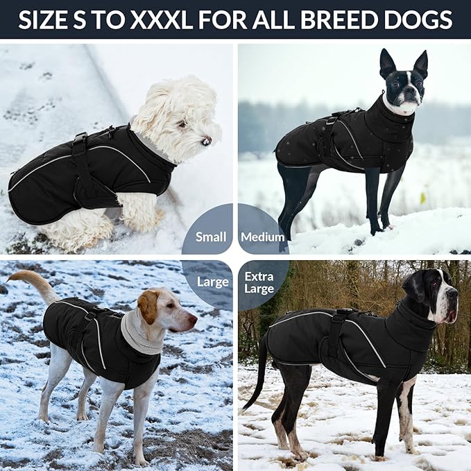 Queenmore Winter Dog Coat Warm Dog Jacket Vest Waterproof Puffer Fleece Snowsuit Adjustable Buckle Leash Hole Reflective Cold Weather Parka for Small Medium Large Dogs Girl Boy Black S