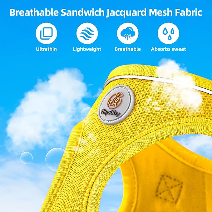 Hipubby Dog Harness and Leash Set, No Pull Soft Mesh Puppy Harness for Small Medium Dogs, Cats - Step in Reflective Breathable Lightweight Vest Harness for Walking, Training - Yellow, XXS