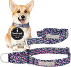 Lucky Love Dog Martingale Dog Collar & Leash - Adjustable, No-Slip, Durable, Comfortable, Soft Webbing, & Stylish Patterned Collar & Leash Set for Male and Female Dogs - Primrose Combo, Small