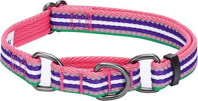 Blueberry Pet 4 Colors 3M Reflective Multi-Colored Stripe Martingale Safety Training Dog Collar, Pink Emerald and Orchid, Small, Heavy Duty Adjustable Collars for Dogs