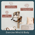Cat Climbing Wall System – Modern Floating Shelves & Perches for Cats - Sunrise Steps | Ascentials by FurHaven