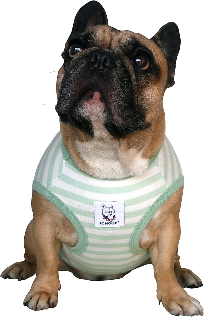iChoue English Bulldog 100% Breathable Cotton Striped T Shirts Halloween Vest Clothes for Medium Dogs Tank Tops Puppy French Frenchie Pug Boston Terrier Pitbull Green White Stripes - XXLarge