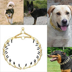 Stainless Steel Prong Pinch Collar for Dogs, Adjustable Training Collar with Quick Release Buckle for Small Medium Large Dogs (Gold, 22")