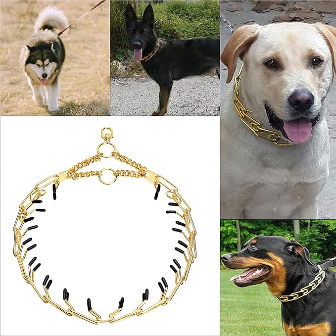 Stainless Steel Prong Pinch Collar for Dogs, Adjustable Training Collar with Quick Release Buckle for Small Medium Large Dogs (Silver, 20")