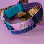 Tactical Dog Collar with Control Handle - Adjustable, Heavy Duty, Training and Walking for Medium and Large Breeds (Purple Blue, S: 15'' - 18'')