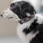 Heavy Duty Dog Collar with Unique Leopard Totem Design Adjustable Durable Nylon Collar, Metal Buckle for Large Dogs Bold Style for Training & Outdoor Adventures (Ethnic M)