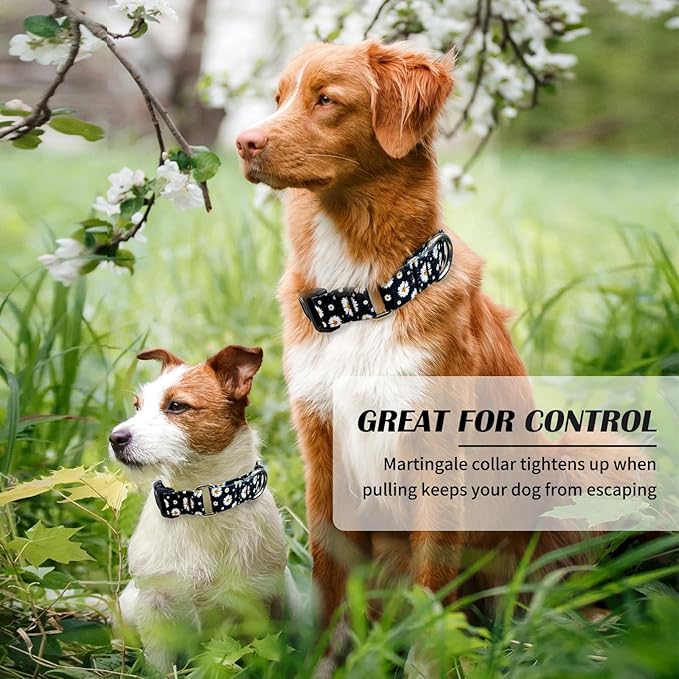 Hikiko Martingale Collar for Dogs with Buckle for Small Medium Large Dogs Soft Nylon Daisy Dog Collars Walking Training（Pure Daisy,Large）
