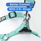 Pawtitas Reflective Step-in Dog Harness – Adjustable No-Pull Vest for Puppies to Seniors, Safe & Comfortable, S Teal