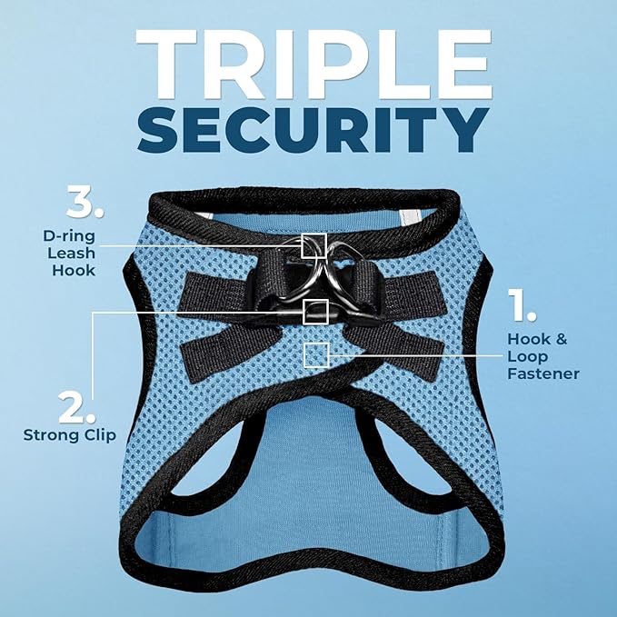 Best Pet Supplies Voyager Step-in Air All Weather Mesh Harness and Reflective Dog 5 ft Leash Combo with Neoprene Handle, for Small, Medium and Large Breed Puppies - Baby Blue/Black Trim, X-Small