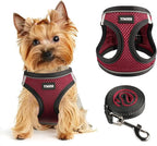 Dog Harness for Small Dogs and Leash Set, Honeycomb Grid, Reflective Lightweight Harness & Anti-Twist Pet Lead Multi Color, Size: XS-S-M. (S, Deep Purple)