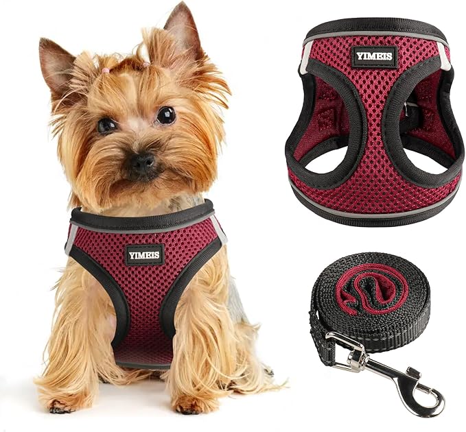 Dog Harness for Small Dogs and Leash Set, Honeycomb Grid, Reflective Lightweight Harness & Anti-Twist Pet Lead Multi Color, Size: XS-S-M. (M, Deep Purple)