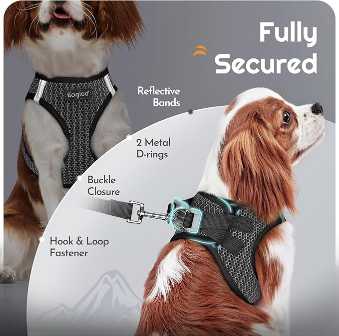 Eagloo Small Dog Harness and Leash Set, Step in Puppy Vest with Breathable Soft Mesh, Walking Reflective Pet Harness for Medium Small Dogs, Gray, L
