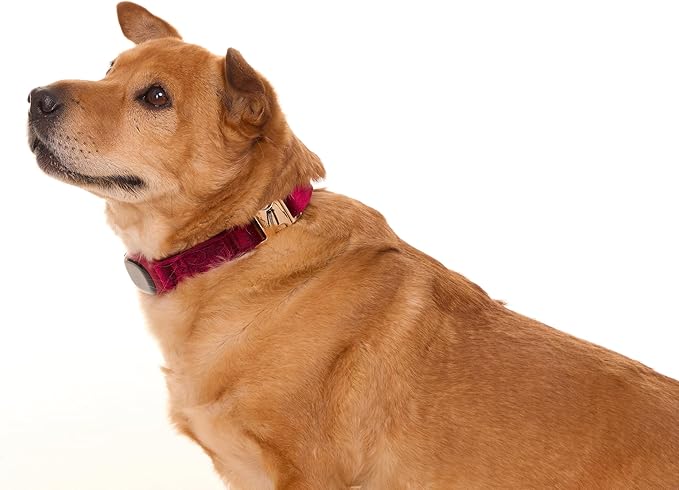 Dog Training Collar,Non-Shock Luxury Bark Collar-Adjustable Fit, No Shock for Small,Medium,Large Dogs, Advanced Technology with Remote, Automatic Bark Collar, Rechargeable, Anti-Barking,Red