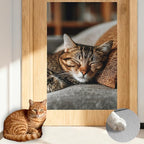 Nuxovilar Cat Wall Scratcher 15.3x23.6 Inches Polyester Synthetic Fiber, Napping Tabby Cat Print, wall scratchers for Indoor Cats, Scratching mat, Home Decor, Living Room, Sofa Area (2pcs)