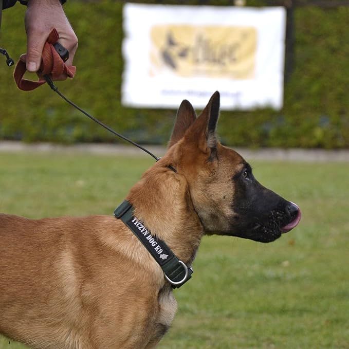 Dingo Gear Choke Collar for Dog Training Handmade of Cord with A Limiter, Waterproof Black S04059, (M)