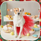 Dog Tutu Tulle Tutu for Dogs Small Large Medium Puppy Dress Ballerina Costume Skirt for Holiday Puppy Cats Bunny Pet Outfit Birthday Wedding Party Photo Prop Supplies(Red)