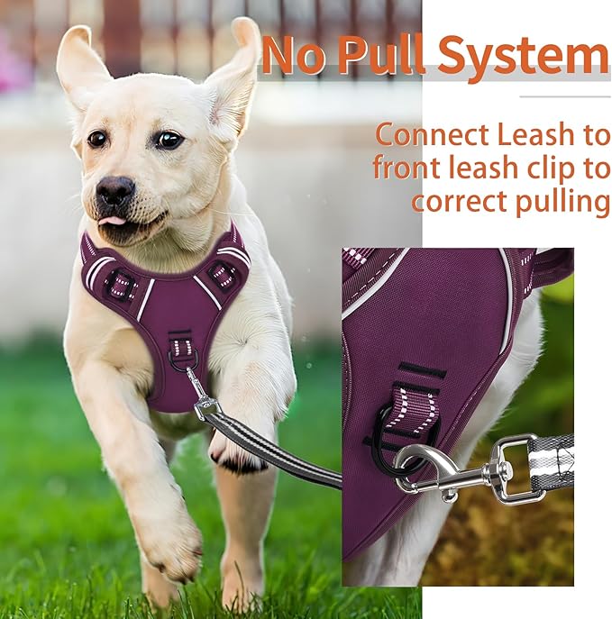 HEELE Dog Harness for Medium Dogs No Pull Dog Vest Harness with Soft Padded Handle Reflective for Outdoor Training, Purple(Matching Trim), M