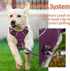 HEELE Dog Harness for Small Dogs No Pull Dog Vest Harness for Small Dog with Soft Padded Handle Reflective for Outdoor Training, Purple(Matching Trim), S