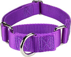 Mikivery Martingale Dog Collar Nylon Adjustable and Safety Training Colourful Comfortable Metal Buckle Pet Collars for Small Medium and Large Dogs(Purple 1,L)