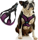 Gooby Comfort X Step in Lite Dog Harness - Choke Free, Escape Free with Light Breathable Mesh - Step in Dog Harness for Small Dogs Only - Quick Release Buckle, Metal D-Rings - Purple, X-Large
