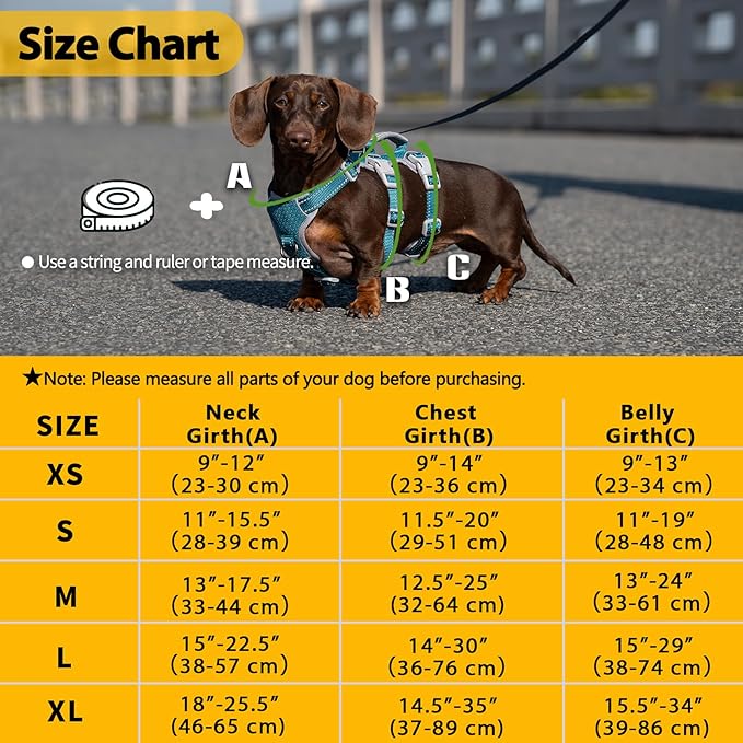 Huntboo Escape Proof Dog Harness, Escape Artist Harness, Fully Reflective Harness with Padded Handle, Breathable,Durable, Adjustable Vest for Medium Dogs Walking, Training, and Running Gear (Teal,XS)