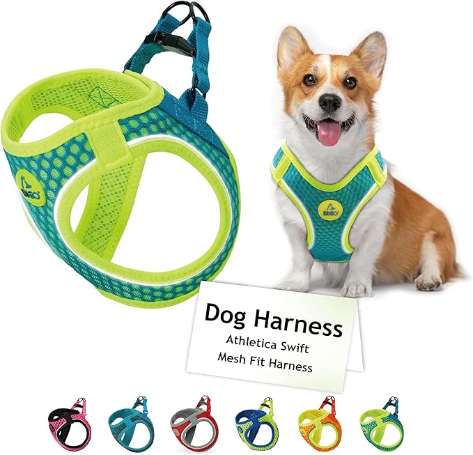DOCO Dog Harness for Small Sized Dog - Athletica Adjustable, No Pull, No Choke, Puppy Vest Lightweight Air Mesh, Reflective, Puppy Essentials – Turquoise, X-Small (Chest 13.5"-14.", Weight 4–6 lbs)