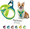 DOCO Dog Harness for Small Sized Dog - Athletica Adjustable, No Pull, No Choke, Puppy Vest Lightweight Air Mesh, Reflective, Puppy Essentials – Turquoise, X-Small (Chest 13.5"-14.", Weight 4–6 lbs)