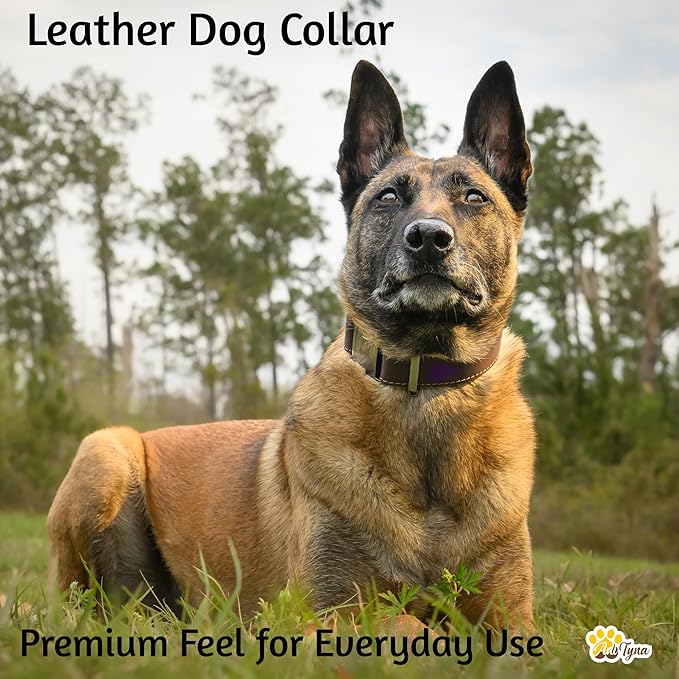 ADITYNA Leather Dog Collar with Metal Buckle - Heavy-Duty, Adjustable for Medium & Large Dogs - Walking, Training, Hiking (Brown, Fits 15-21" Necks)